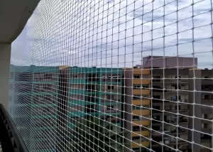 Anti Bird Nets in Adyar, Chennai