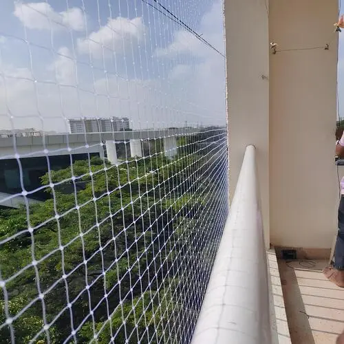 Anti Bird Nets in Chennai, Tamil Nadu (3)