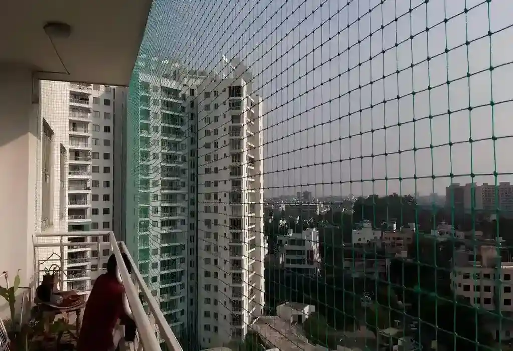 Anti Bird Nets in Chennai, Tamil Nadu (4)