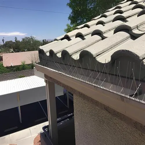 Anti Bird Spikes in Chennai, Tamil Nadu by Shield Netting (3)