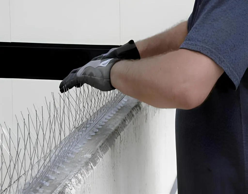 Anti Bird Spikes in Chennai, Tamil Nadu by Shield Netting (4)