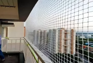 Bird Netting Services in Adyar and OMR, Chennai (4)