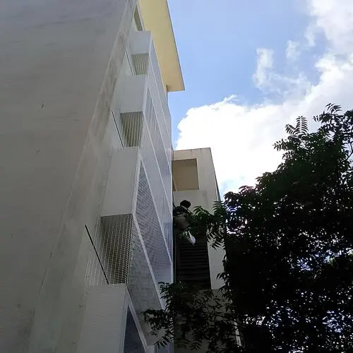 Bird Netting Services in Chennai, Tamil Nadu by Shield Netting (2)