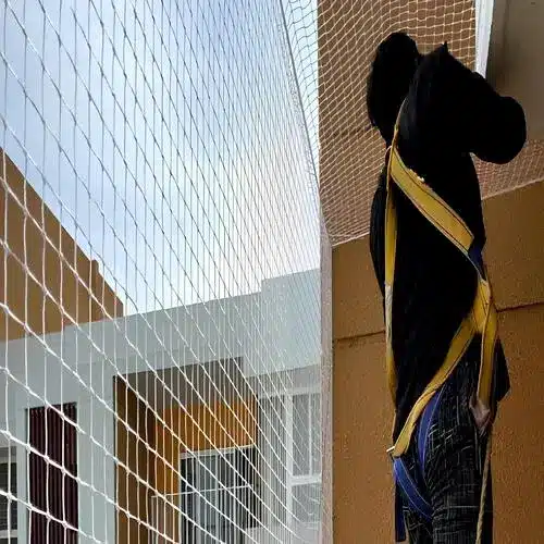 Bird Netting Services in Chennai, Tamil Nadu by Shield Netting