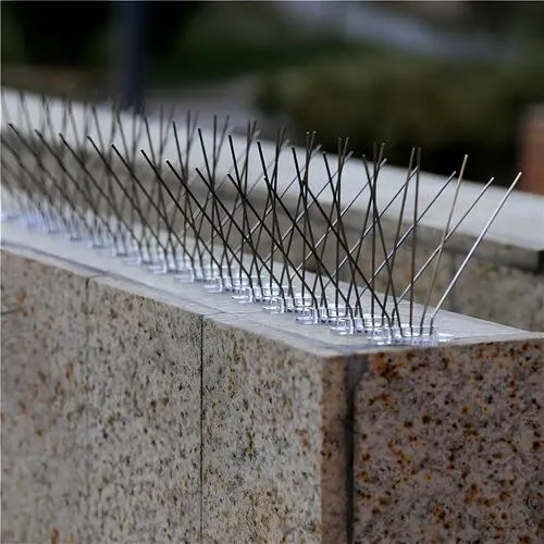Bird Spikes in Adyar and OMR, Chennai (4)