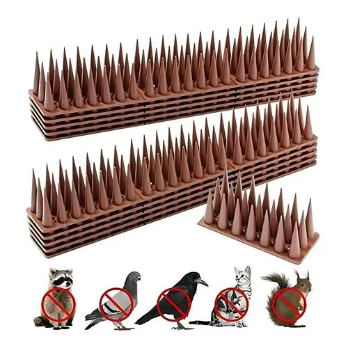 Bird Spikes in Adyar and OMR, Chennai