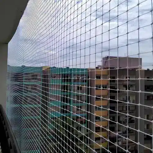 Pigeon Net for Balcony in Adyar and OMR, Chennai-1 (2)