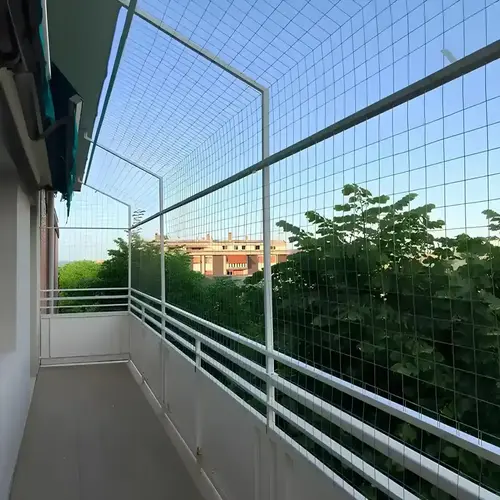 Pigeon Netting Services in Adyar and OMR, Chennai (3)