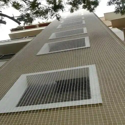 Pigeon Netting Services in Chennai, Tamil Nadu (2)