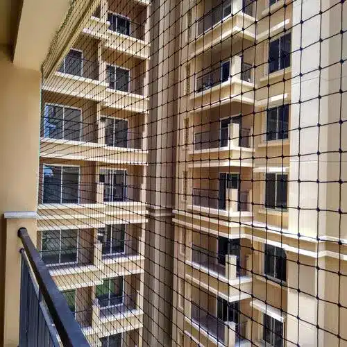 Pigeon Netting Services in Chennai, Tamil Nadu